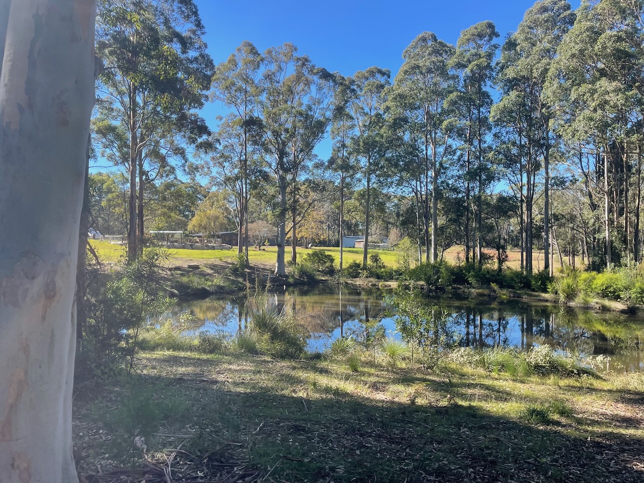 Dam at Little Tootie